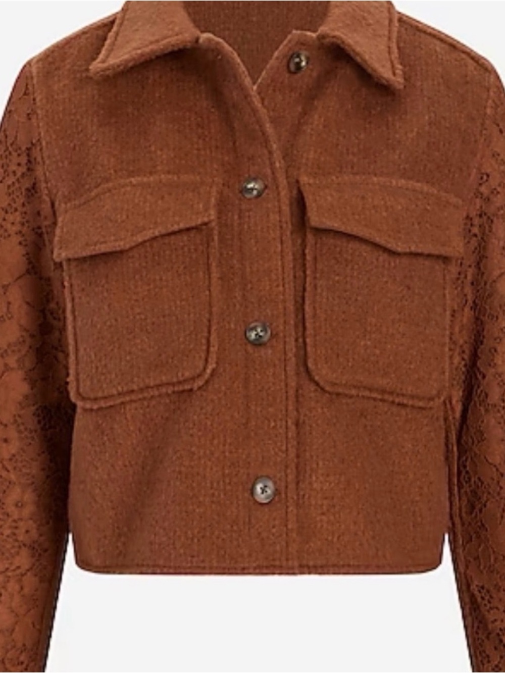 Express - Chic Brown Woven Lace-Sleeve Cropped Jacket NWT -Date night ready L - Picture 3 of 16